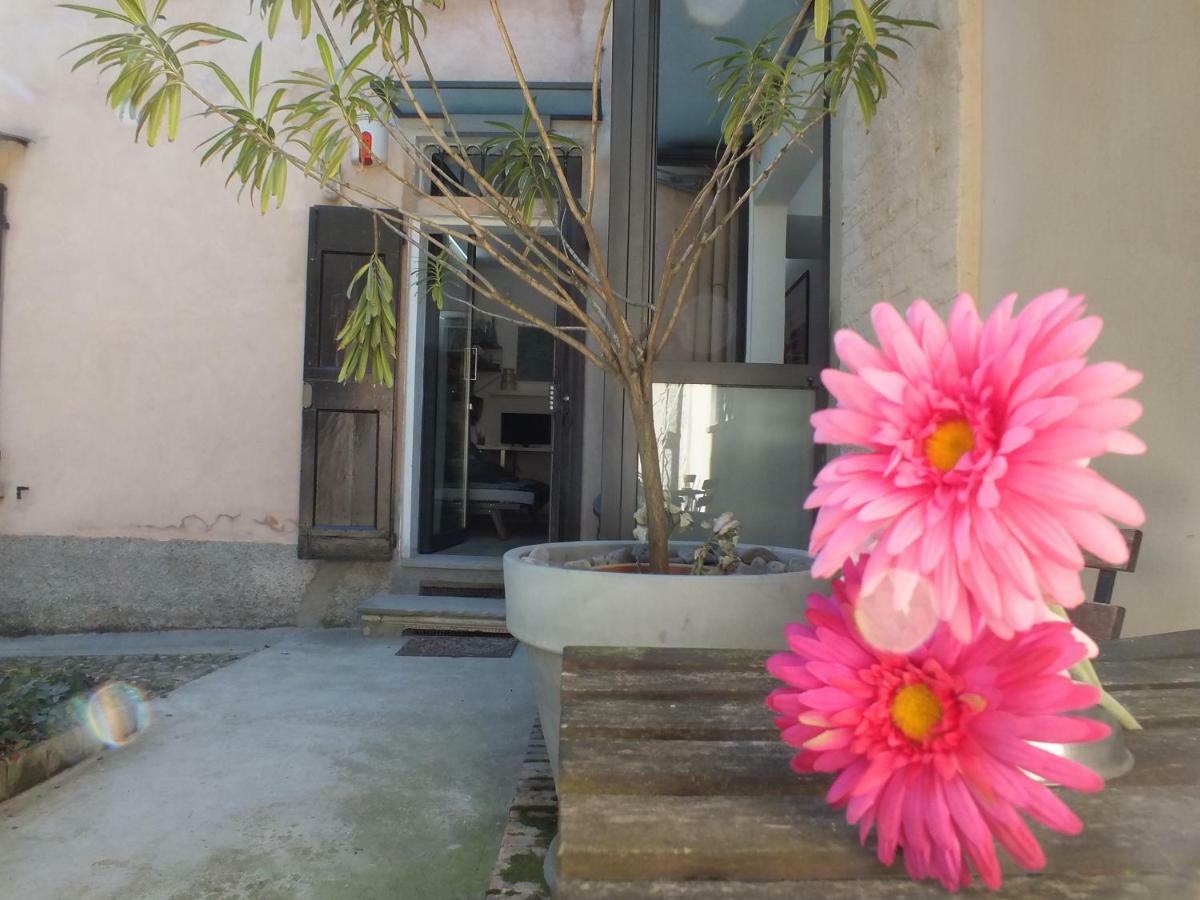 Appartement Loft Garden In Bologna'S Heart Ospedale Rizzoli Extérieur photo